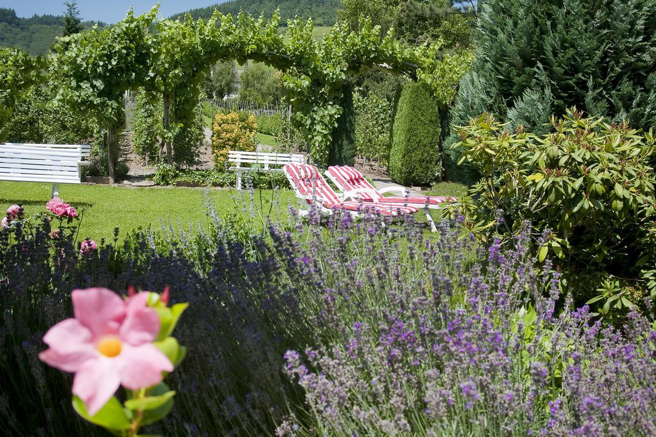 Hotel Springiersbacher-Hof Krov Luaran gambar