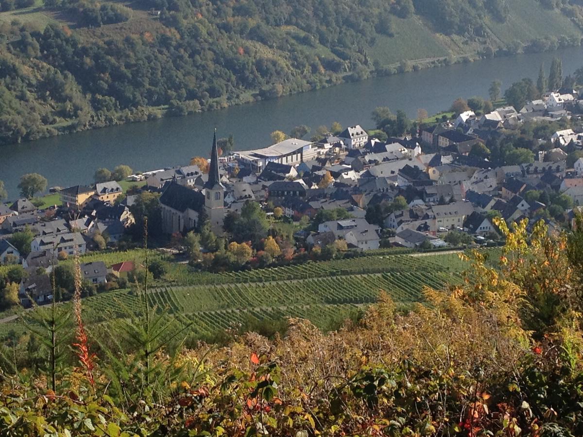 Hotel Springiersbacher-Hof Krov Luaran gambar